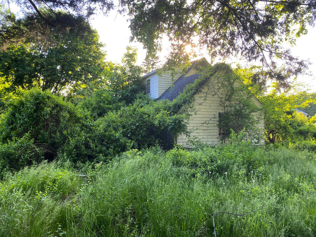 House in Leaves An abandoned house enveloped with foliage.